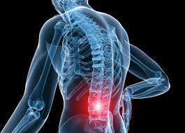 The spine is comprised of 7 cervical, 12 thoracic, and 5 lumbar vertebrae.the spine holds the body erect against gravity and to protect the spinal cord. Low Back Strain And Sprain Symptoms Diagnosis And Treatments