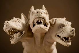 Image result for Atractus cerberus