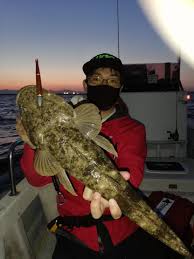 フィッシング遊