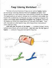 18 using and constructing a classification key ate. Bio Lab Fungi 2 The Basic Structural Features Of Fungi Are Not Cells But Hyphae Hyphae Are Filaments Filled With Cytoplasm And Nuclei Each Thread Course Hero