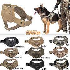 Pin On Dog Trainings