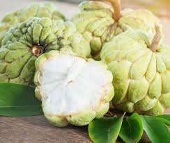 Custard Apple | Coco Hill Forest