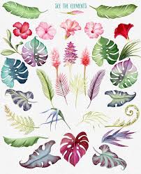 Tropical Flowers Watercolor Clipart Com Imagens Design Aquarela Aquarela Coisas Para Desenhar