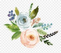 Fine Watercolor Flower Transparent Watercolor Flowers Transparent Png Clipart Free Watercolor Flowers Watercolor Flowers Flower Drawing
