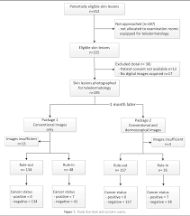 Figure 1 From Mobile Teledermatology For Skin Cancer