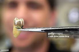 31 Coin And Jewelry Co Stock Photos, High-Res Pictures, and Images