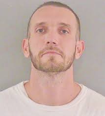 Convicted golf cart thief who stole from maintenance facilities starts new  year behind bars