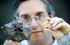 When Titanoboa ruled the Amazon