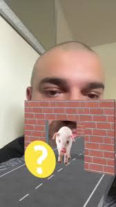 Jak robi prasa? Dźwięki zwierząt z filtru.