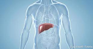 Hepatitis Leberentzundung Formen Symptome Therapie Netdoktor