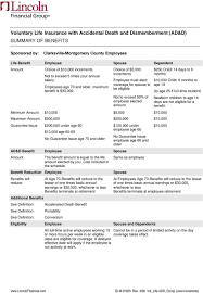 An accidental death and dismemberment policy, as the name suggests, provides protection in the case of an accident. Voluntary Life Insurance With Accidental Death And Dismemberment Ad D Summary Of Benefits Pdf Free Download