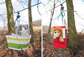 Vermietung an nichtraucher, keine haustiere erwünscht. Mit Kindern Eine Seilbahn Fur Kuscheltiere Basteln Kizz