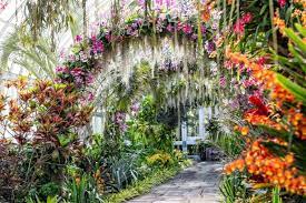 Walk Through A Sea Of Orchids At The New York Botanical Garden S Orchid Show Botanical Gardens Brooklyn Botanical Garden Singapore Garden
