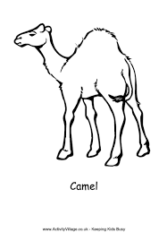 We did not find results for: Easy Camel Easy Desert Drawing Novocom Top