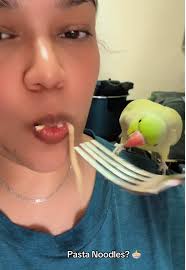 Kuman prepare eski zot sa dan Maurice?