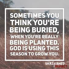 Let This Season Grow You God Is Doing A Work Within You Right Where You Are Unashamedimpac Quotes About Strength In Hard Times Bible Quotes Spiritual Quotes