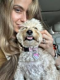 Why do some corgis have symmetrically colored whiskers?