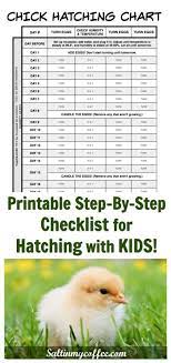 Hatching With Kids Is So Much Fun This Printable Chart Makes It Easy To Keep Track Of Turning The Incubating Chicken Eggs Hatching Chickens Chickens Backyard