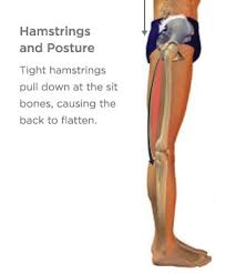 Hamstring injuries are one of the most common and recurrent sports injuries causing pain. Healing Or Preventing Hamstring Injuries