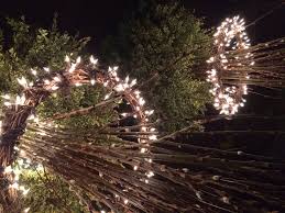 Dirt Simple Gardening And Landscape Blog By Deborah Silver Part 6 Outdoor Christmas Lights Christmas Tree Lighting Outdoor Christmas