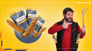 Województwo Kujawsko-pomorskie