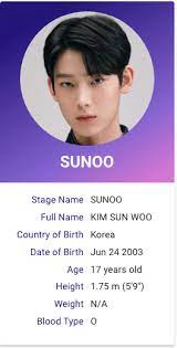 Enhypen сонхун энхайпен сону хисын чонвон ники niki sunghoon sunoo джейк jay kpop jungwon engene txt jake джей heeseung bts. I Land Kim Sunoo Kpop Profiles Kpop Profiles My Land Kim Sun