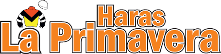 Resultado de imagen para Haras la primavera