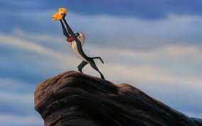 Israeli Photographer S Real Life Lion King Photo Grabs Headlines The Times Of Israel