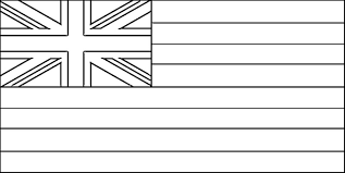Kids love to color and if they need to do a project in geography and looking for a state flag to color, we have all 50 state flags including the hawaii state flag. Hawaii Flag Coloring Page Purple Kitty