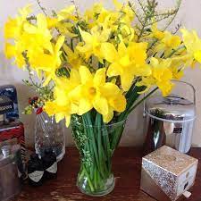 New The 10 Best Garden Ideas Today With Pictures These Remind Me Of Spring Daffodils Welsh Amazing Gardens Daffodil Gardening English Country Gardens