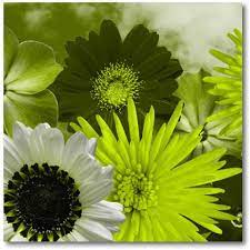 Maybe you would like to learn more about one of these? Lime Green Flowers On Canvas Modern Digital Canvas Prints