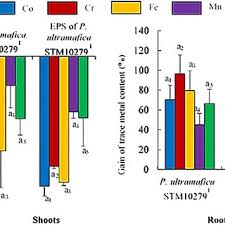 Image result for Tetraria