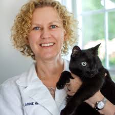 Veterinarian In West Hartford, CT
