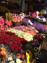Columbia Road Flower Market Columbia Road Flower Market Flower Market Flowers