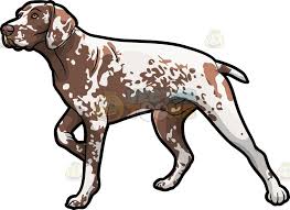 Black And White Spotted Dog Clipart A German Shorthaired Pointer Pet Dog German Shorthaired Pointer Cartoon Dog Drawing Dog Illustration