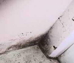 Es gibt 8 arten der feuchtigkeitszufuhr: Dammung Schimmel Feuchtigkeit Haus Schimmelbildung