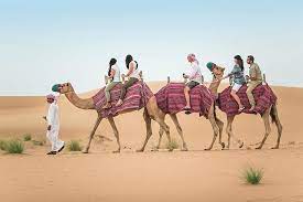 Explore the beauty of uae's desert as it was a meant to be seen on the back of a camel! Dubai Desert Safari With Dune Bashing Camel Ride And Meals 2021