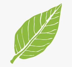Maybe you would like to learn more about one of these? Daun Png Transparent Png Kindpng