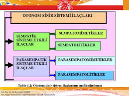 Parasempatik, sempatik ve enterik vücudu tehlikelere karşı uyaran sempatik sinir sistemi, kaç ya da savaş refleksini harekete geçirir. Otonom Sinir Sistemi Ve Anestezik Ilaclar Ppt Indir