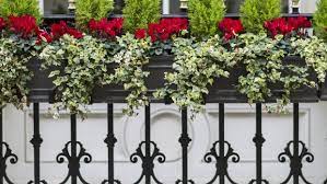 Etsy uses cookies and similar technologies to give you a better experience, enabling things like: Bright Berries And Winter Window Boxes Bring Joy To Your World