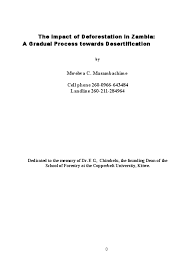 Image result for Daniellia alsteeniana