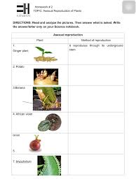 Pin On Examples Worksheet Answers Key