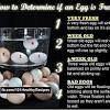 Drain the water before using the egg yolks in your recipe. Https Encrypted Tbn0 Gstatic Com Images Q Tbn And9gctvfgcqdkekmdro1xf 6yb971ywcvbzexx8sztqyn1i5yuwguyf Usqp Cau