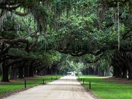 Die Boone Hall Plantation Drehort Von Fackeln Im Sturm