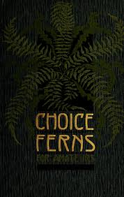 Choice ferns for amateurs :