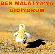 Ben Malatya Ya Gidiyorum Komik Mizah Komik Seyler