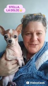 STELLA, LA DOLCE🌟 , Stella era la bimba di una persona anziana che non c'e  più e veniva "gestita" da due signore straniere che non volevano però  tenerla..., Questa scricciola nonostante tutto, ...
