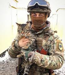 Ukrarmy Cats Dogs On Twitter Best Camouflage Soldier Azov