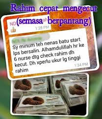 Nenas batu juga mampu berfungsi melawaskan kencing dan mengurangkan kesan menopaus. Nenas Batu Produk Kesihatanndlife