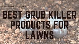 On the downside however, because of the greater depth of the drivers blades, they have to be a little thinner and are more prone to shearing off when the greater torque is used. Best Grub Killer Top 7 Liquid Granular Insecticides Reviews Cg Lawn